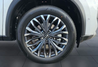 24_71216da0-7712-482b-b961-022448a33eb3_final_image